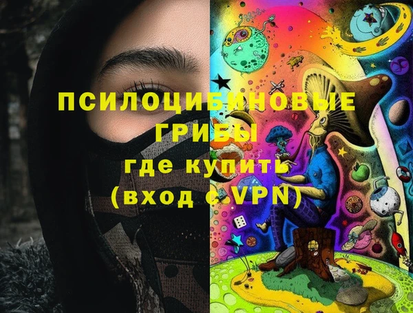 круглые Белокуриха