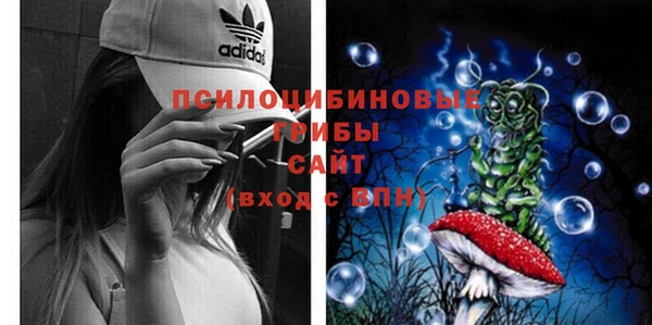 круглые Белокуриха